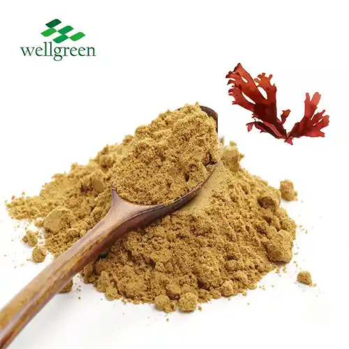 Red Algae Extract